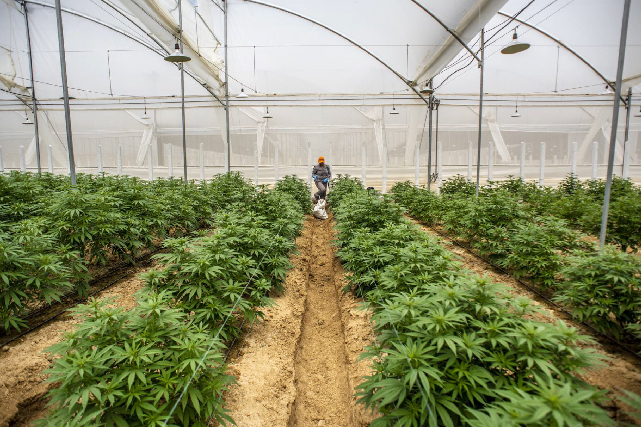 IMAG_Mesa de trabajo 14 copia 22