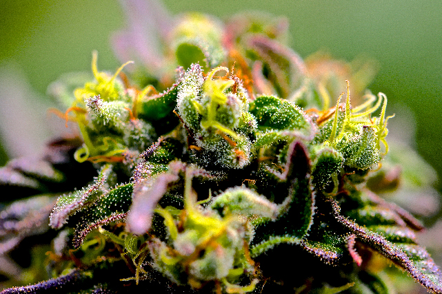 IMAG_Mesa de trabajo 14 copia 24