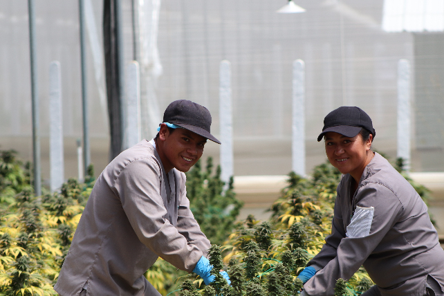 FACEBOOK_JUL_30-AGO_6-11