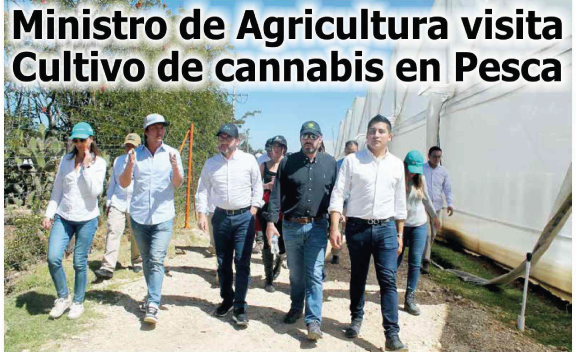 ministro de agricultura visita cultivo de cannabis