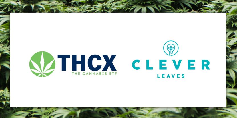 THCX Clever Leaves