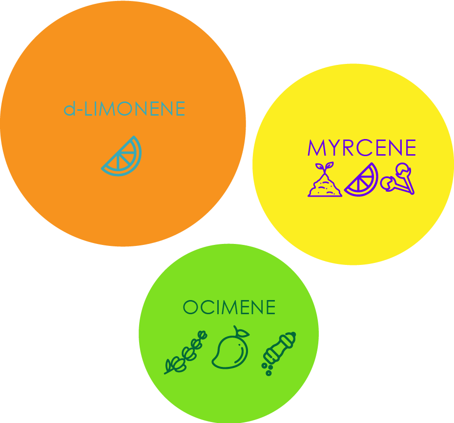 papaya bomb Clever Leaves