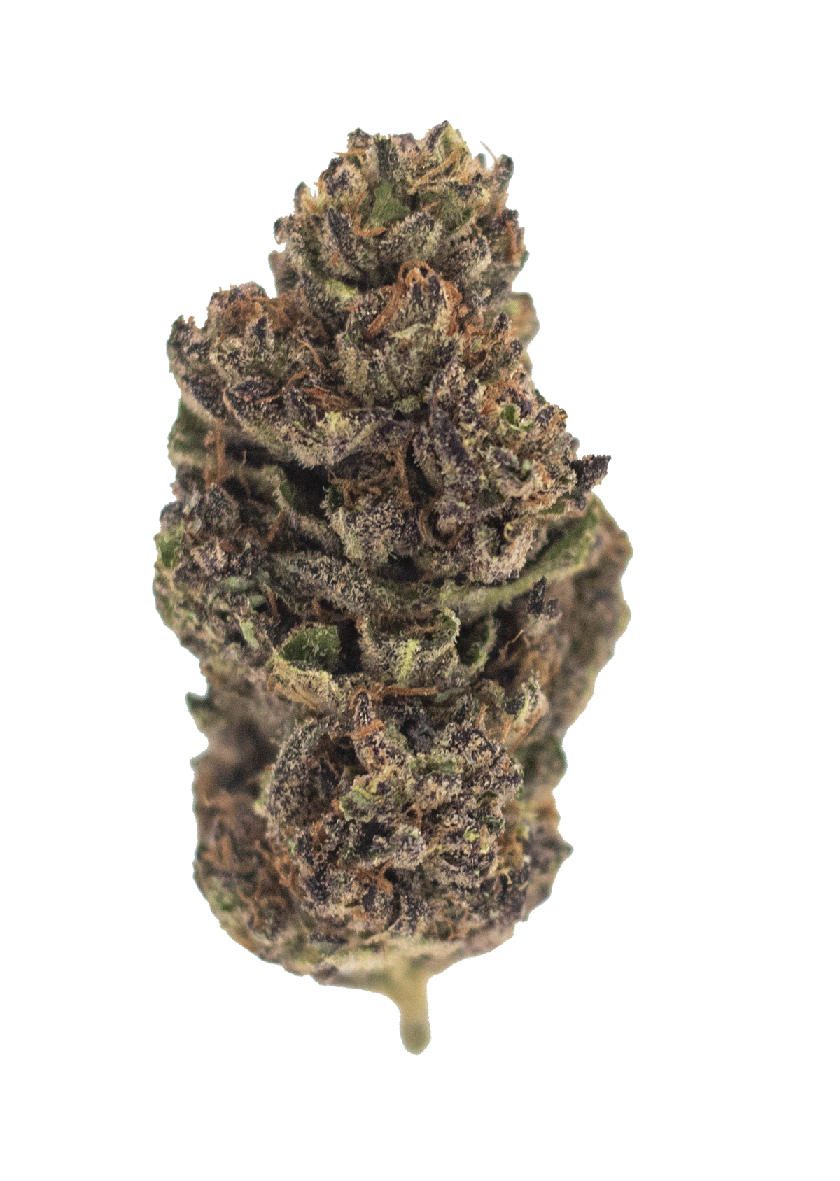 Gif1_Miracle-Allien-Cookies