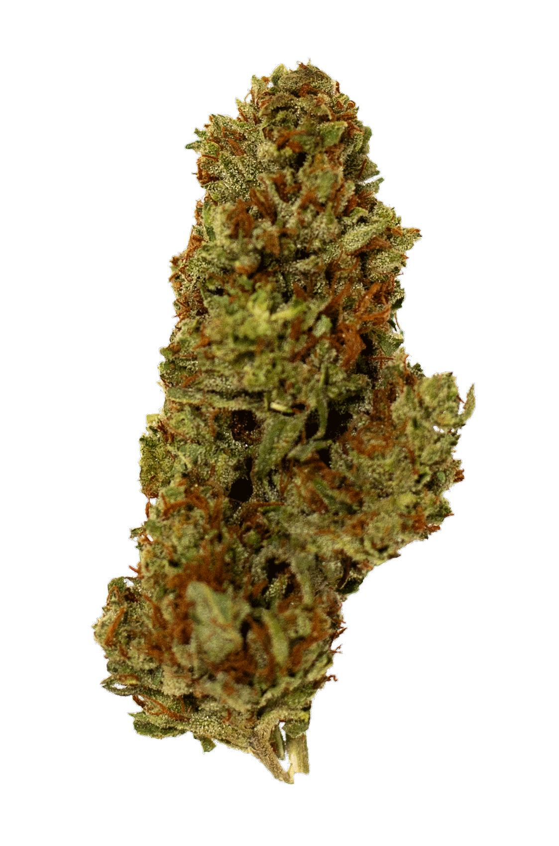 gif-citral-glue