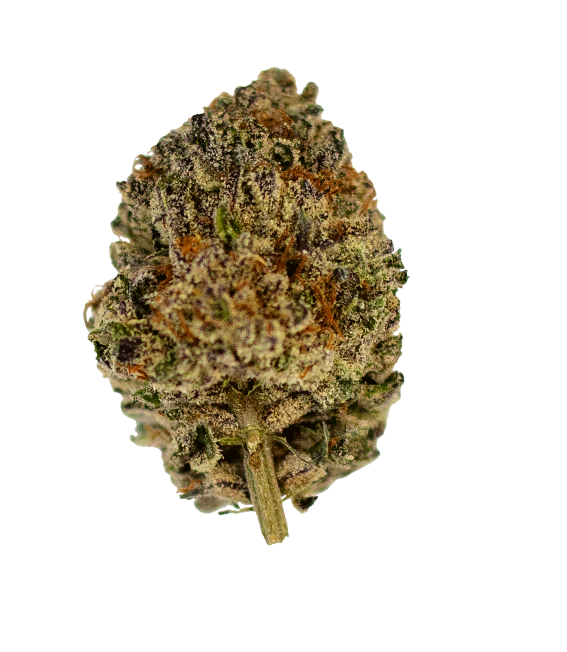 Gif1_Modified-Watermelon